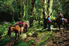 Chile-Lake District-Cochamo Gaucho Trail